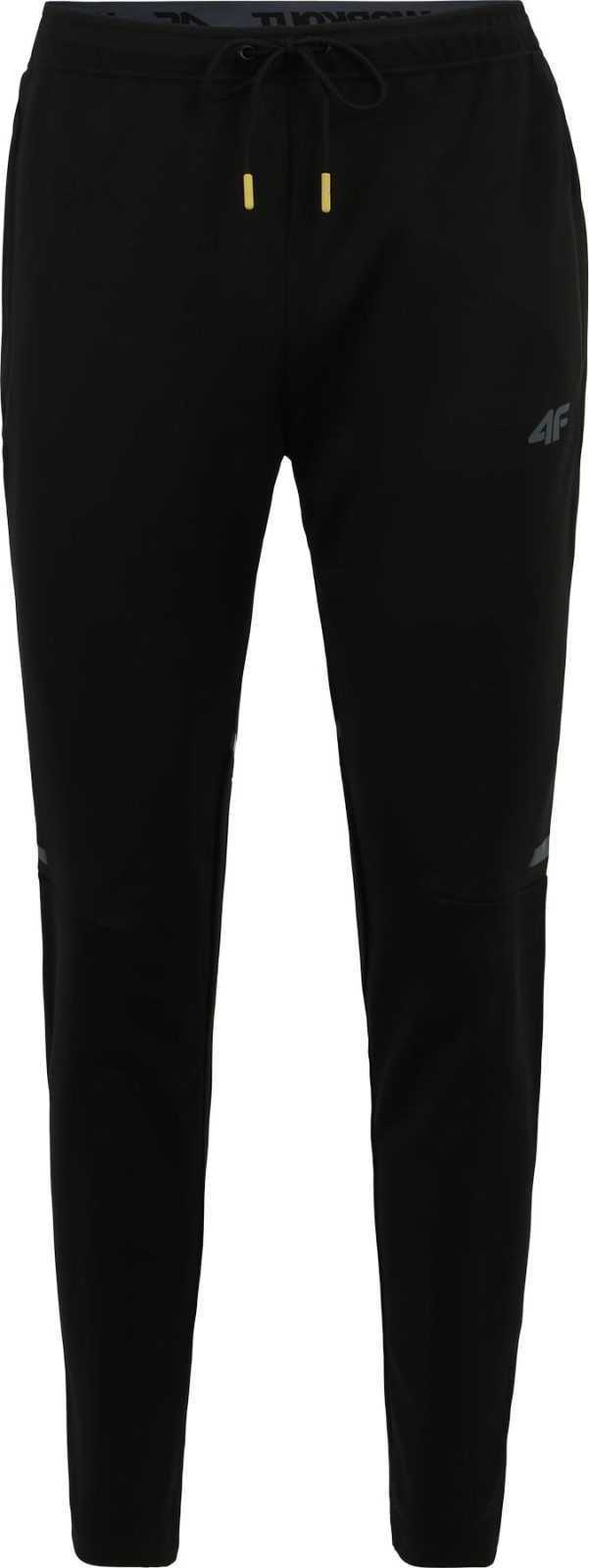 4F Sportovní kalhoty šedá / černá