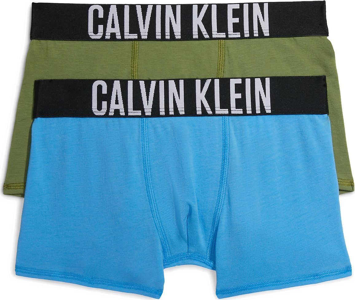 Calvin Klein Underwear Spodní prádlo 'Intense Power' modrá / zelená / černá / bílá