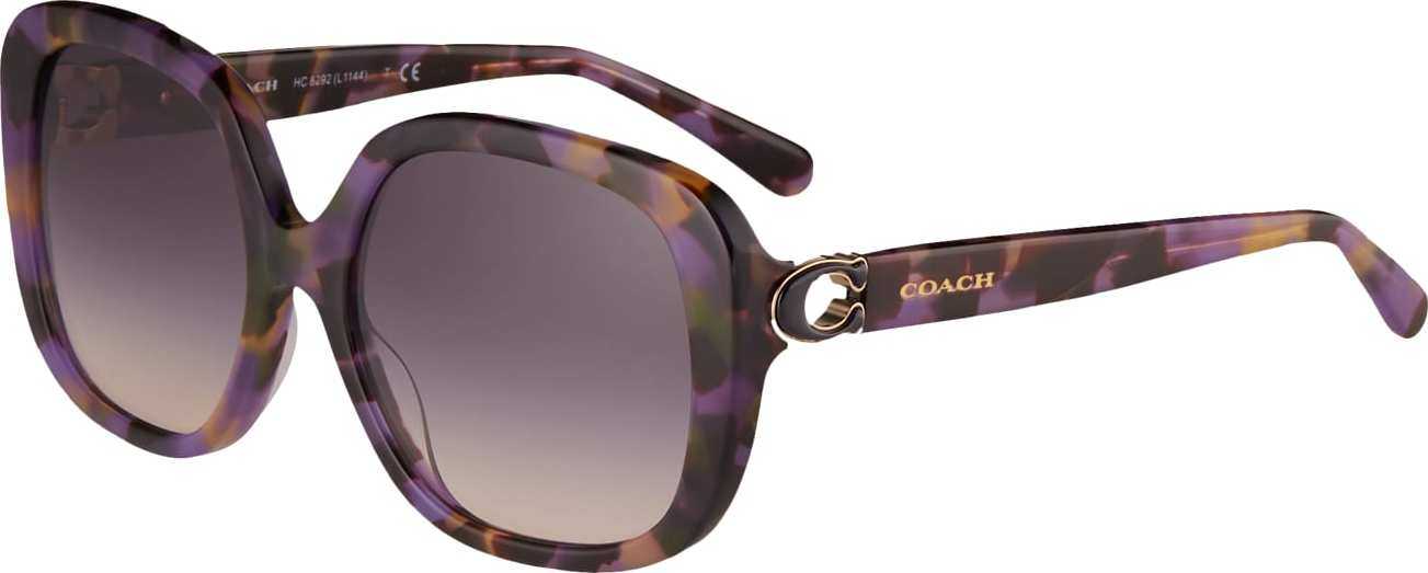 COACH Sluneční brýle '0HC8292' hnědá / lilek / tmavě fialová