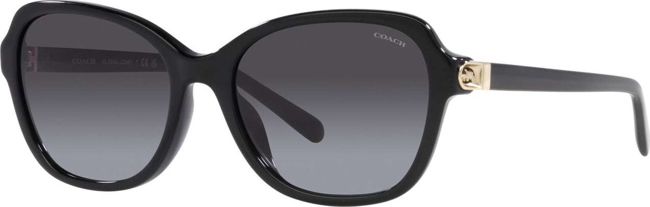 COACH Sluneční brýle '0HC8349U5650028G' černá