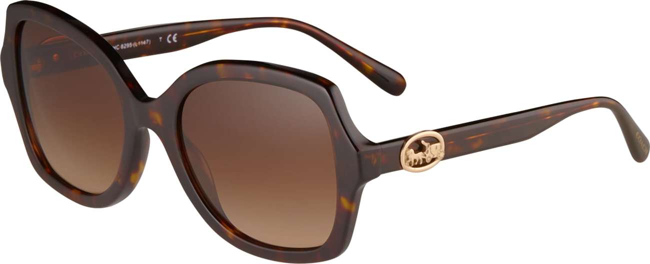 COACH Sluneční brýle 'HC8295' hnědá
