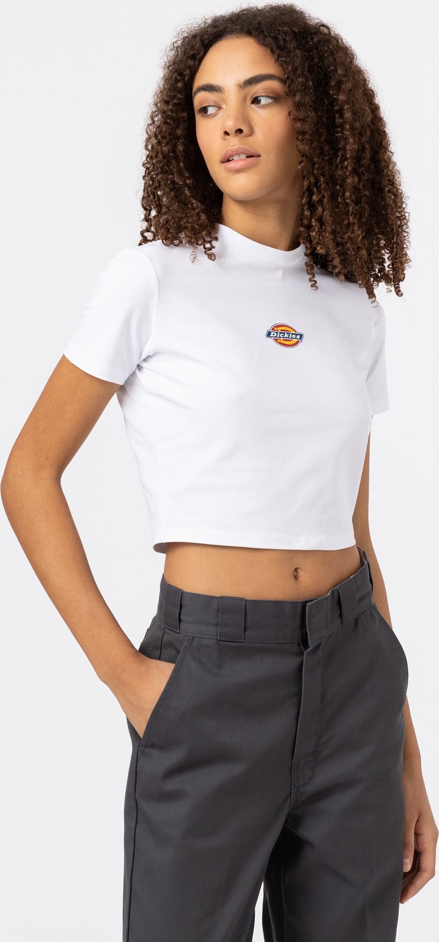 DICKIES Tričko 'MAPLE VALLEY' tmavě modrá / žlutá / červená / bílá