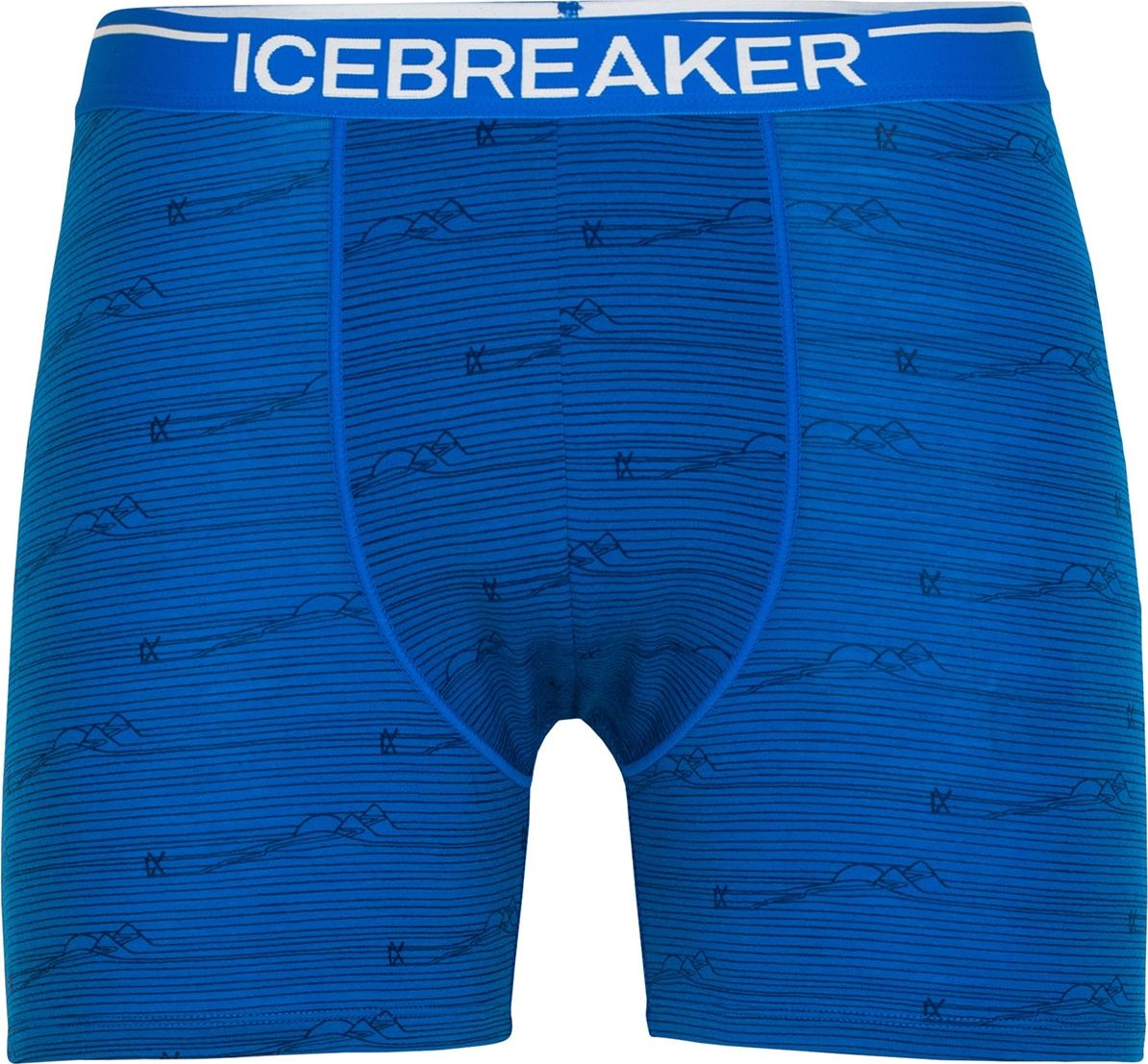 ICEBREAKER Sportovní spodní prádlo 'Anatomica' modrá / černá / bílá
