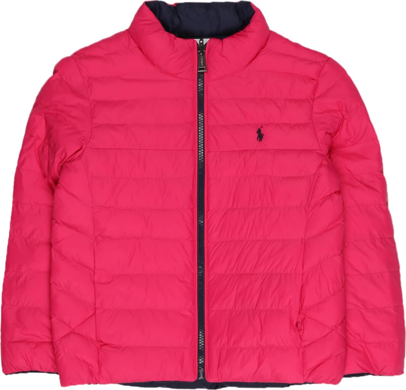 Polo Ralph Lauren Přechodná bunda tmavě modrá / pink