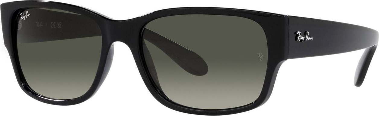 Ray-Ban Sluneční brýle '0RB438855601/71' černá
