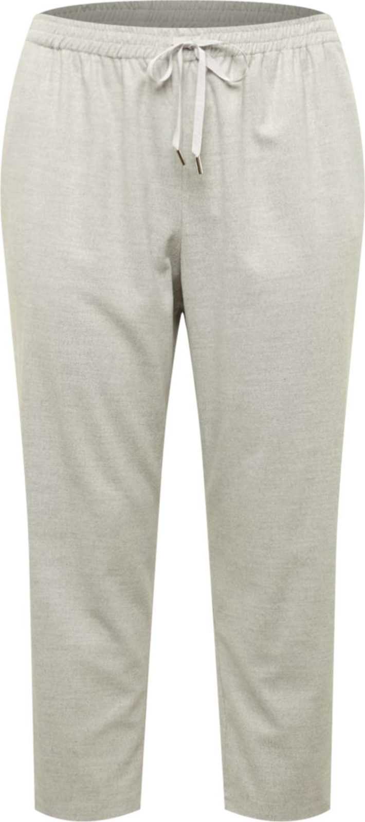 River Island Plus Kalhoty 'BEN' světle šedá