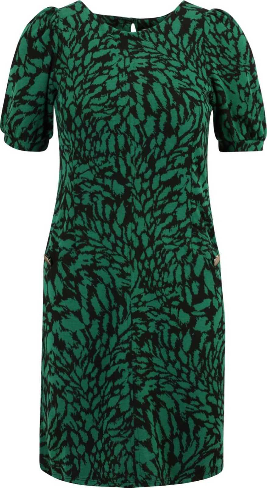 Wallis Petite Šaty zelená / černá