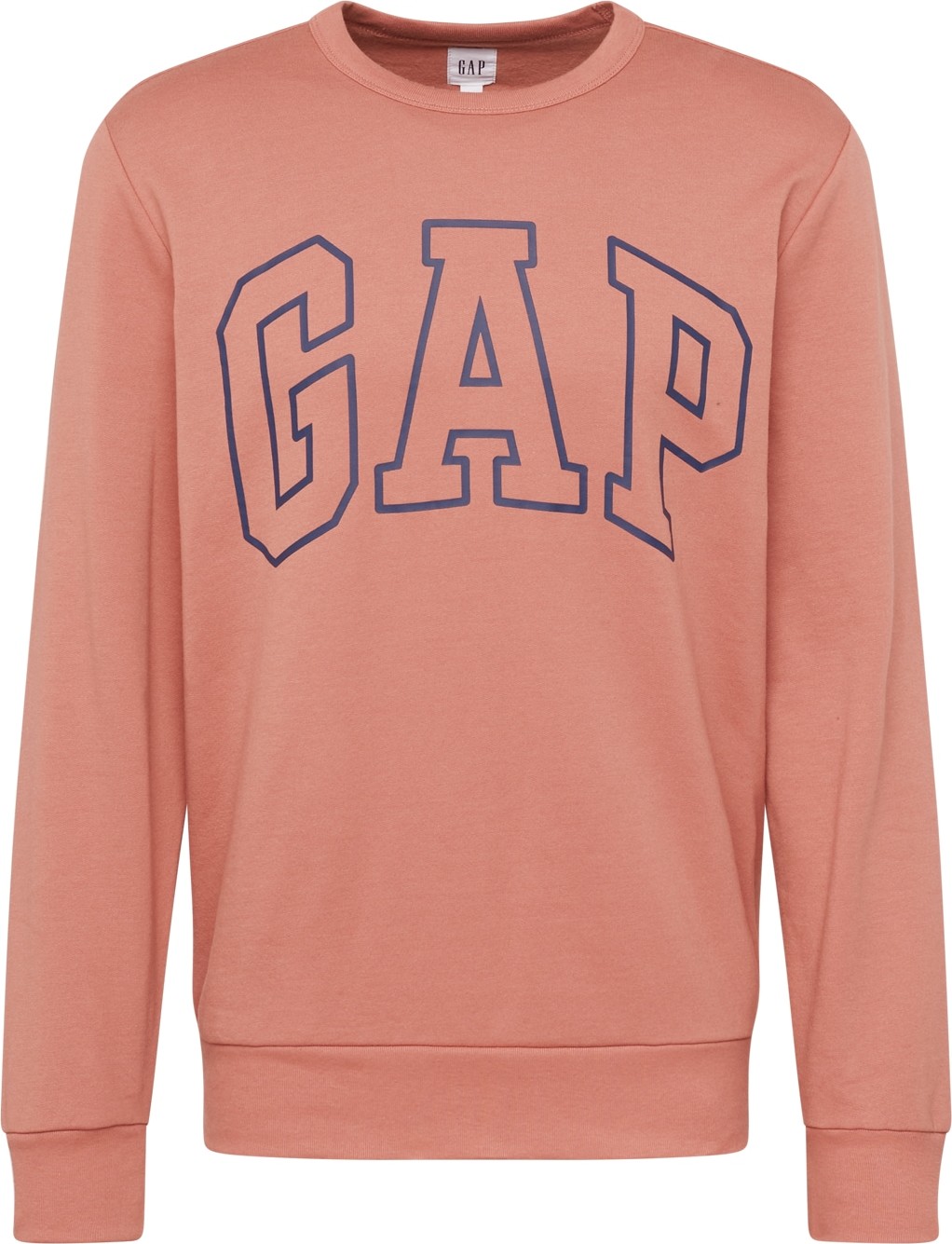 GAP Mikina modrá / růžová