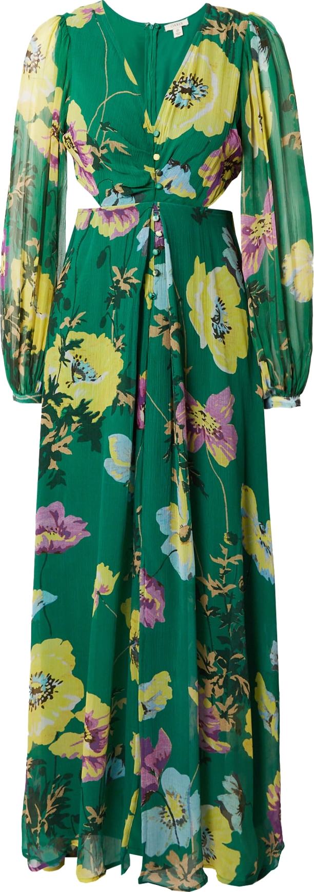 Oasis Šaty 'Soft Floral Button Detail Cut Out Maxi D' smaragdová / mix barev