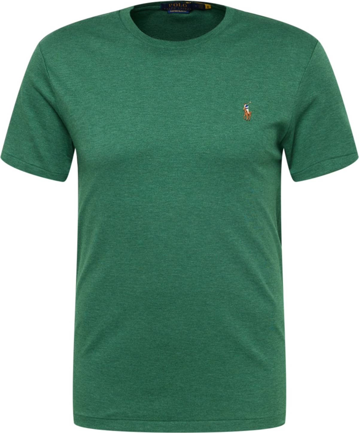 Polo Ralph Lauren Tričko modrá / hnědá / zelený melír / bílá