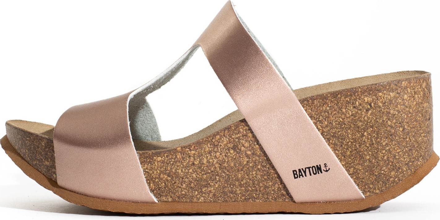 Bayton Pantofle 'Hecate' růže