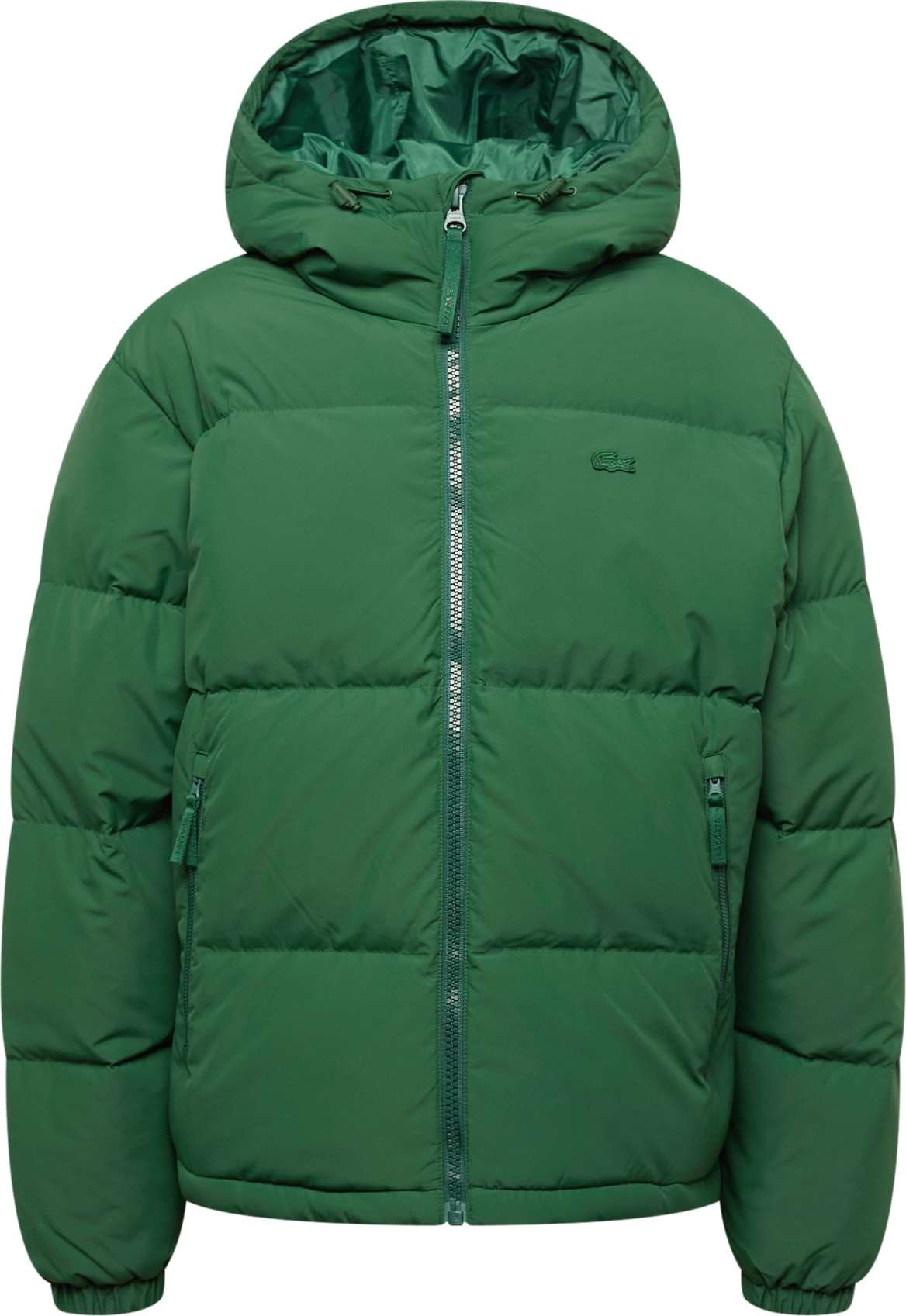 LACOSTE Zimní bunda zelená