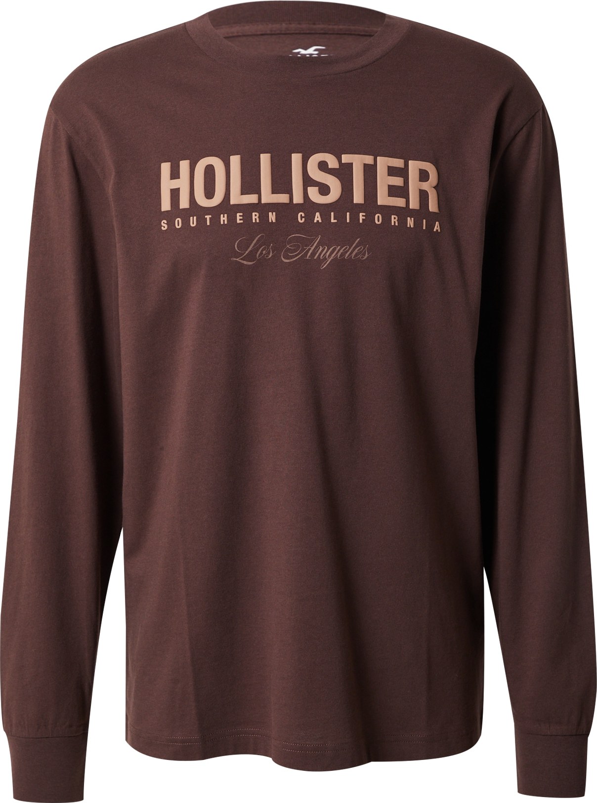 Tričko 'APAC' Hollister hnědá / světle hnědá